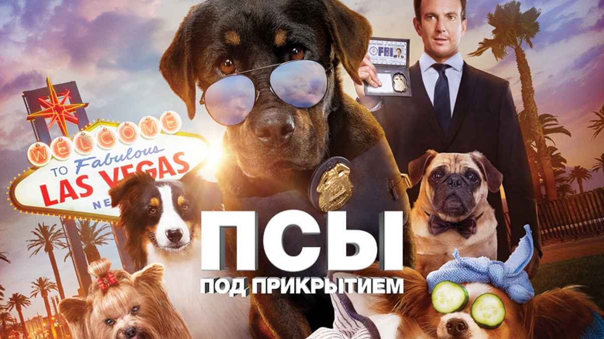 Включи псы под. Псы под прикрытием фильм Панда милый момент. Чихуахуа из псы под прикрытием. Картинки псы под прикрытием Филипп. Псы под прикрытием заставка.